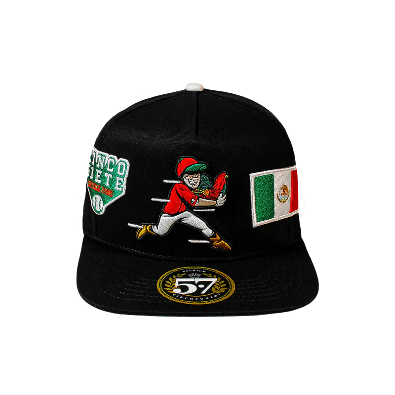 LAS GRANDES LIGAS NEGRO